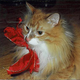 Cat Killer Jury Deadlocked • Hospital Worker Curses At Woman Getting A C-Section